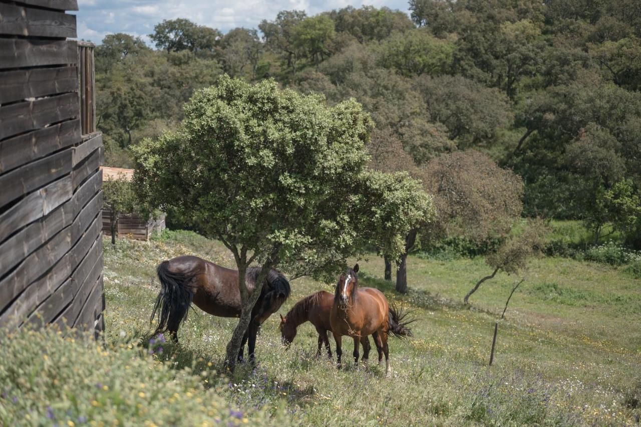 Monte Gois Country House E Spa Curvatos Buitenkant foto