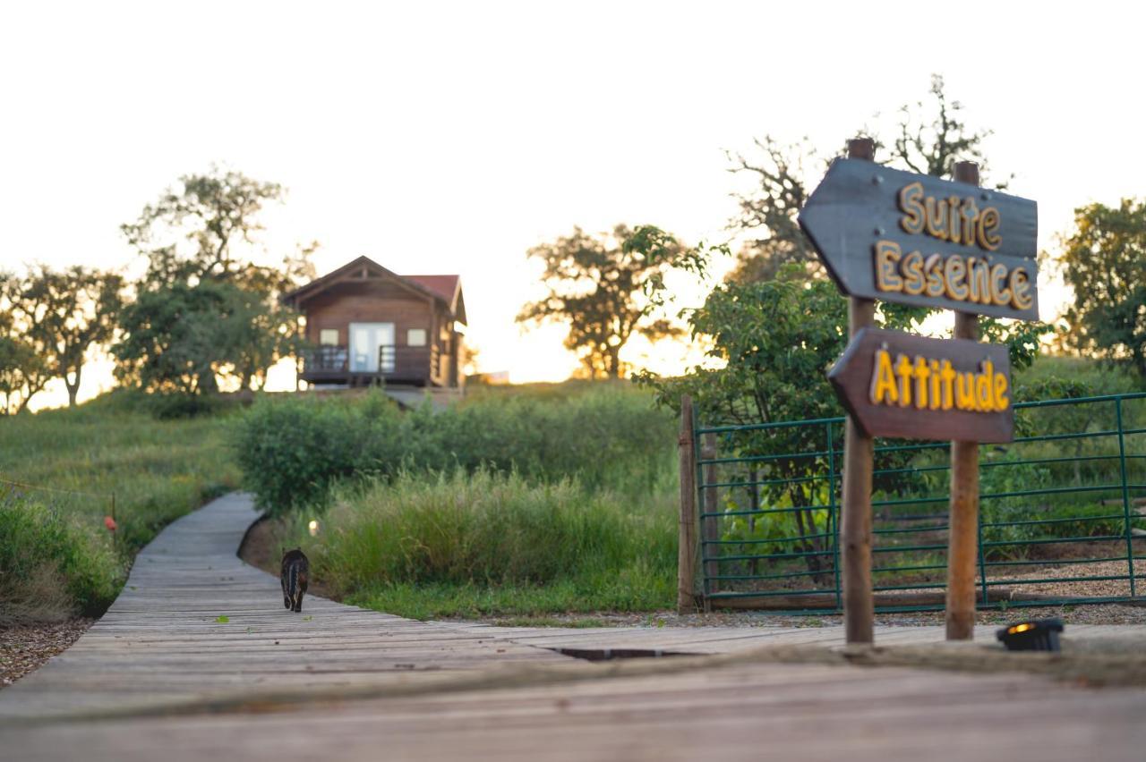 Monte Gois Country House E Spa Curvatos Buitenkant foto