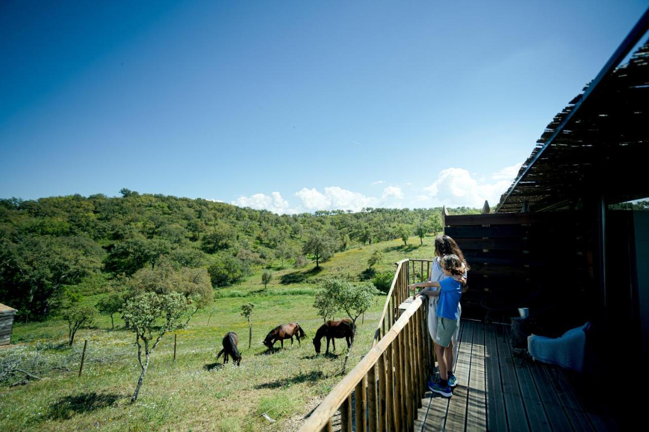 Monte Gois Country House E Spa Curvatos Buitenkant foto