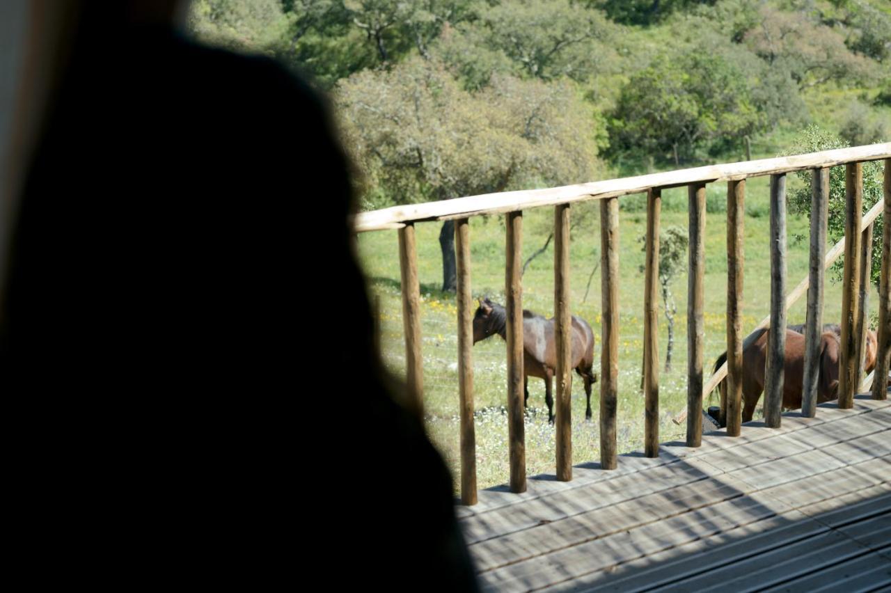 Monte Gois Country House E Spa Curvatos Buitenkant foto