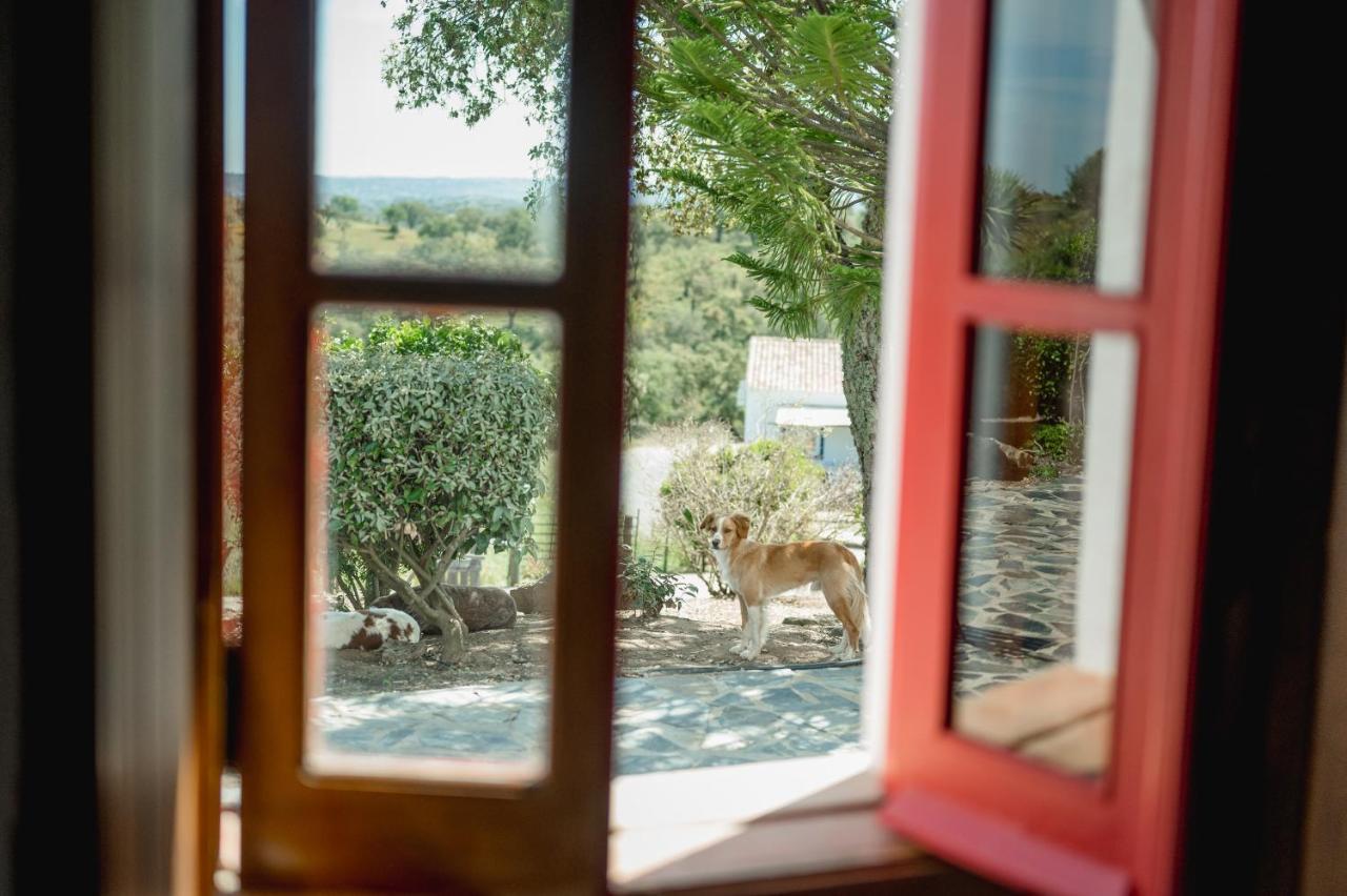 Monte Gois Country House E Spa Curvatos Buitenkant foto