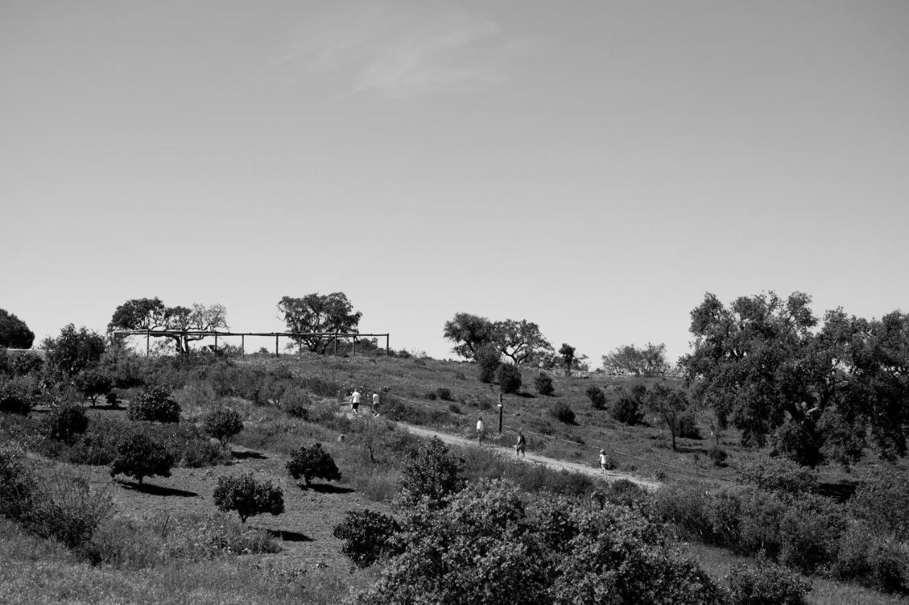 Monte Gois Country House E Spa Curvatos Buitenkant foto